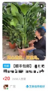 图片[10]-单号日入300块，闲鱼赚钱新玩法-干货案例库圈子-巧卖圈-巧卖圈