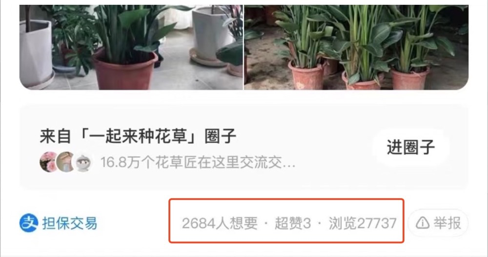 图片[12]-单号日入300块，闲鱼赚钱新玩法-干货案例库圈子-巧卖圈-巧卖圈