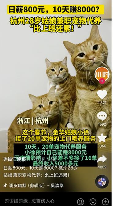图片[1]-同城副业项目，做好了日入800块-干货案例库圈子-巧卖圈-巧卖圈