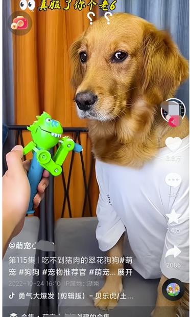 图片[19]-同城副业项目，做好了日入800块-干货案例库圈子-巧卖圈-巧卖圈