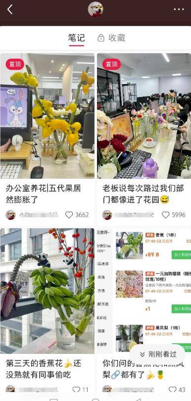 小红书日引精准粉300+，导流快团团卖爆货
