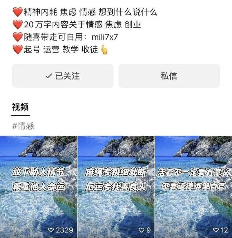 20231120021734157